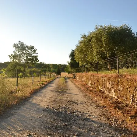 Quinta Dos Carvalhos Castelo Branco (Centro)