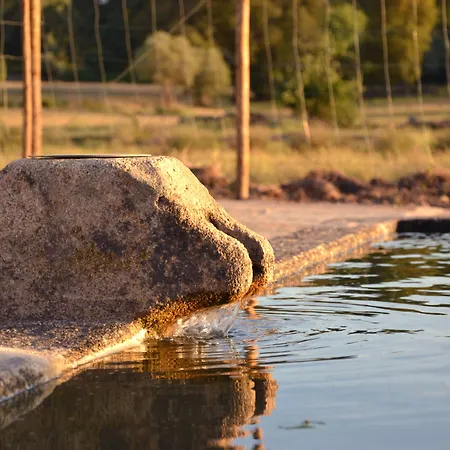 Villa Quinta Dos Carvalhos *