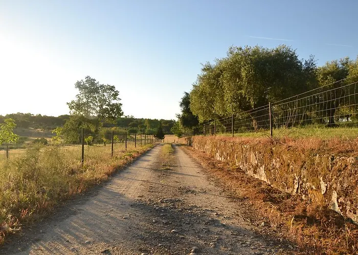 Quinta Dos Carvalhos Castelo Branco (Centro)