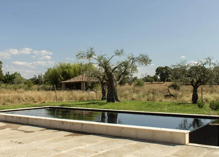 Vila Quinta Dos Carvalhos Castelo Branco (Centro)