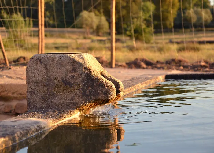 Vila Quinta Dos Carvalhos *