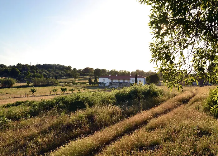 Quinta Dos Carvalhos Vila Castelo Branco (Centro)