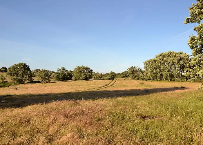 Quinta Dos Carvalhos *