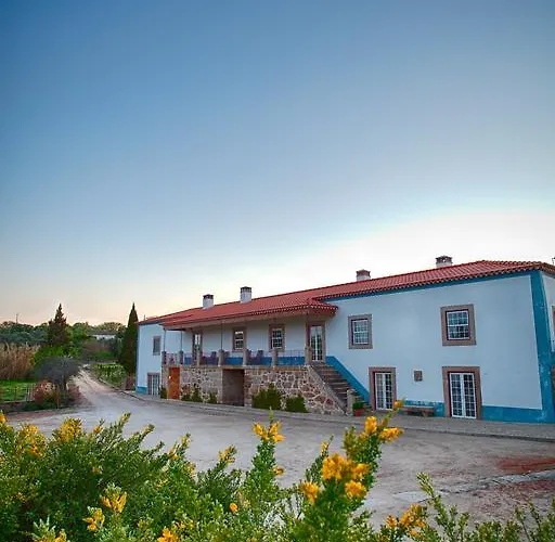 Quinta Dos Carvalhos Vila Castelo Branco (Centro)