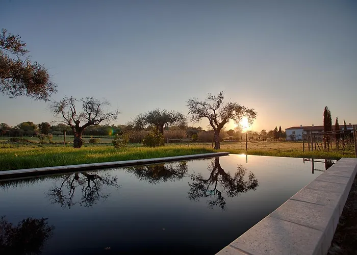 Quinta Dos Carvalhos *