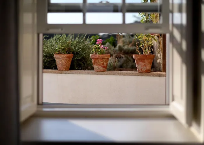 Quinta Dos Carvalhos Vila Castelo Branco (Centro)