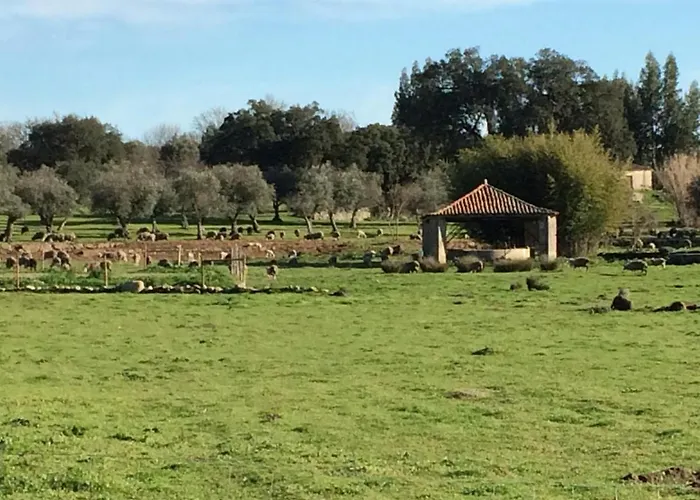 Quinta Dos Carvalhos * Castelo Branco (Centro)
